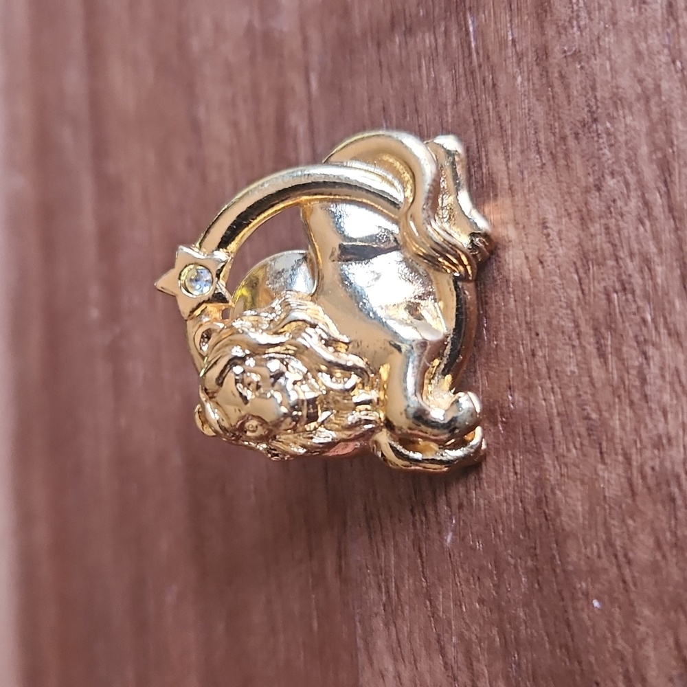 Leo Zodiac Brooch